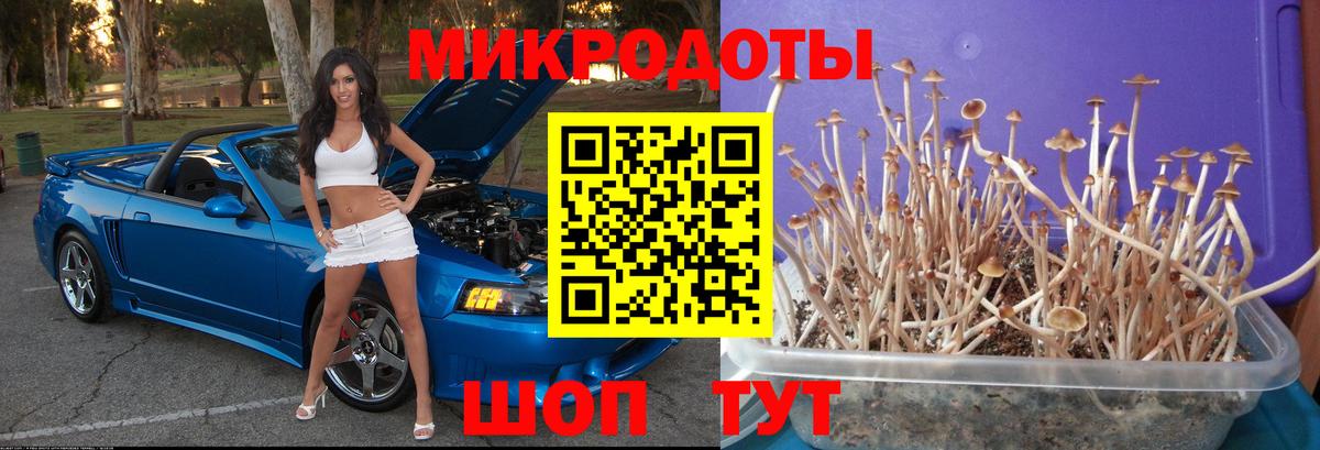 Псилоцибиновые грибы MAGIC MUSHROOMS  Вход с VPN  Орёл 