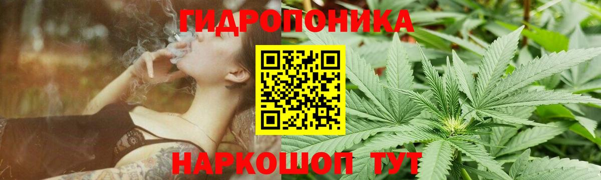 Бошки марихуана индика Орёл